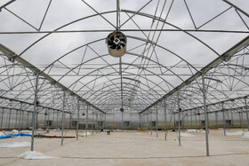 تهویه مناسب در گلخانه ها باعث رشد بهتر گیاه و جذب بالای رطوبت و از بین رفتن آفات و ... میشود.