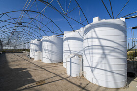 میزان برداشت محصولات در گلخانه، بستگی به نوع محصول و امکانات کنترلی بخصوص آبرسانی به محصول دارد.