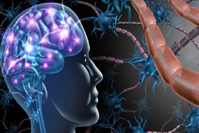 شناسایی ارتباط سرطان، اسکیزوفرنی و اماس با عفونتهای ویروسی خفته شناسایی ارتباط سرطان، اسکیزوفرنی و اماس با عفونتهای ویروسی خفته