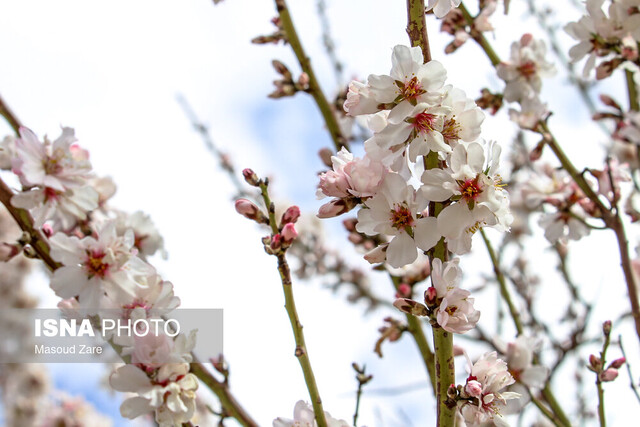 تحلیل نجومی تحویل سال ۱۴۰۱ تحلیل نجومی تحویل سال ۱۴۰۱