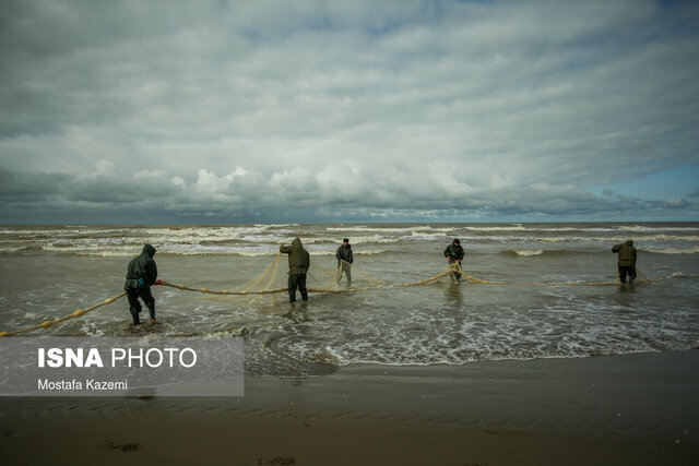 عکس متعلّق به آخرین روزهای ماهیگیری در دریای مازندران و برای فروردینماه ۱۴۰۰ است چالش درباره فرهنگ مردم شمال
