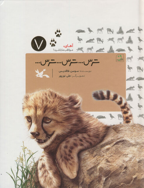آهای بچه‌ها! «یوز ایرانی» در آستانه انقراض است