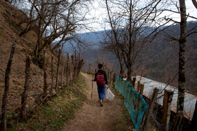 یکی از مهمترین نگرانیهای اهالی روستای شامیلرزان نبود شغل برای جوانان در این منطقه است. و این عامل باعث مهاجرت آنها به شهرها میشود.