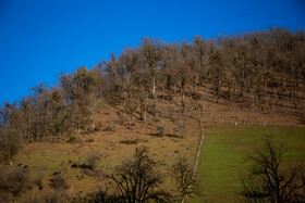 نمایی از یک مرتع در روستای بنون که در دهستان خطبه سرا در شهرستان تالش واقع شده است.