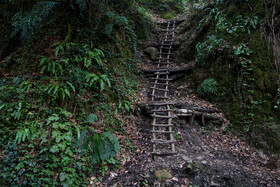مسیرهایی که برای دسترسی گردشگران به آبشار «ریوو» در روستای بنون‌ ساخته شده است.