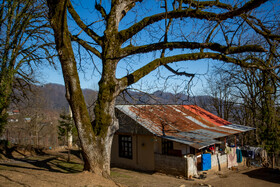 روستای کوهستان حدود ۱۸۰ خانوار و ۸۰۰ نفر جمعیت در منطقه خطبه سرا در شهرستان تالش واقع شده است.