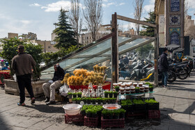 تجریش، هفتههای پایانی سال