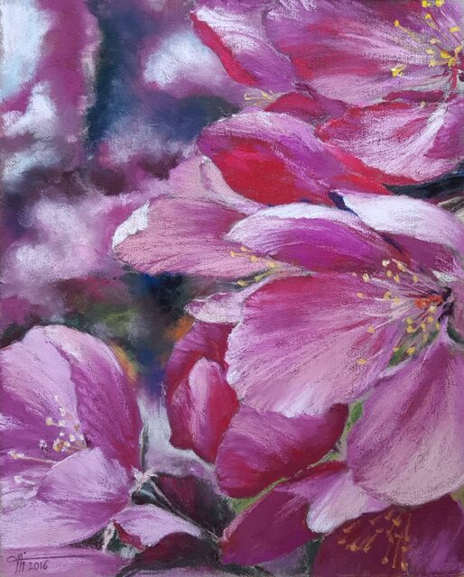 بلیطی برای سفر به درون طبیعت