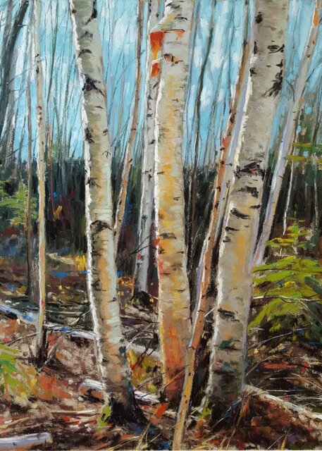 بلیطی برای سفر به درون طبیعت