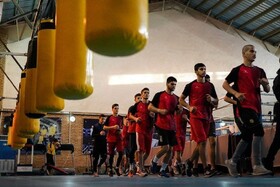 فدراسیون بوکس: برای قهرمانی آسیا آماده می‌شویم