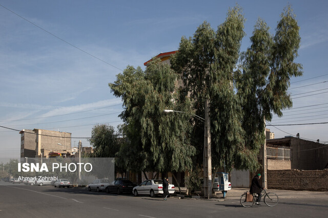 وزش باد شدید و رگبار در انتظار برخی استان‌ها طی امروز