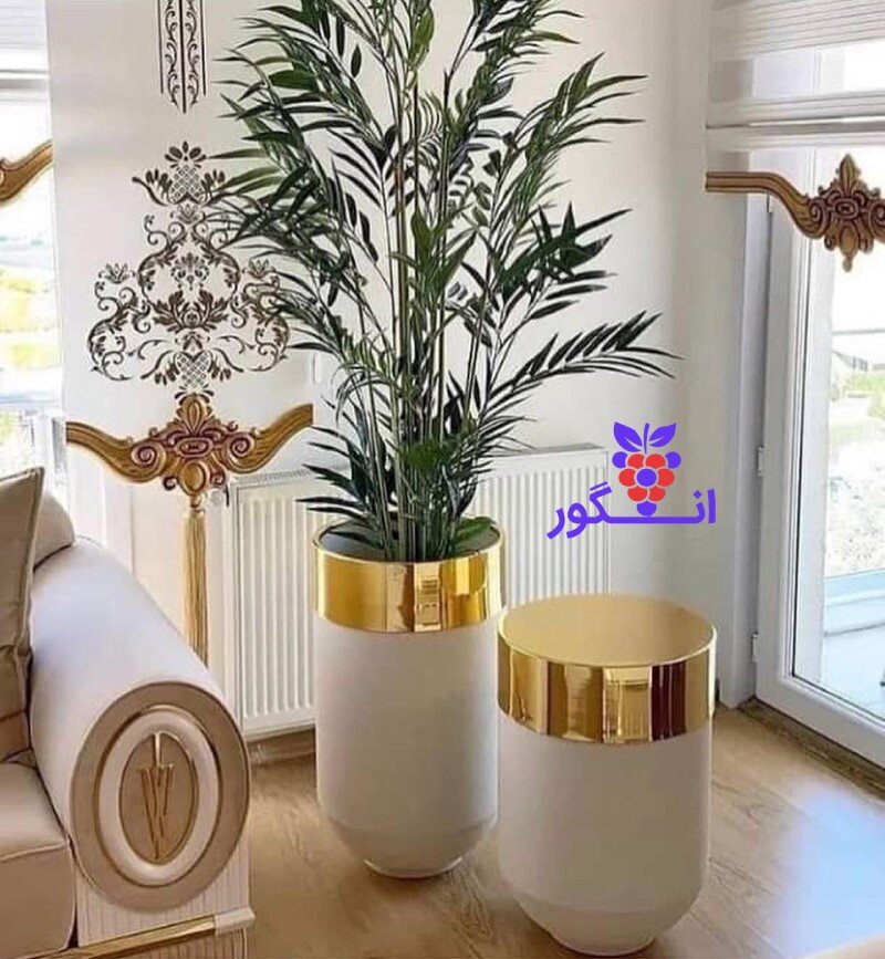 گل آپارتمانی و یوکا