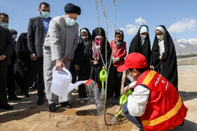 مراسم روز درختکاری با حضور ریاست جمهوری