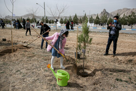درختکاری در ایران دارای پشتوانه‌ای از علایق ملی و سنت تاریخی است