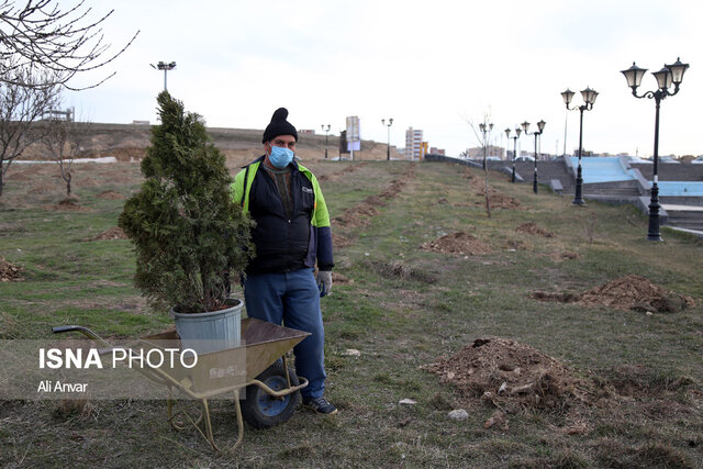 آئین روز درختکاری در اردبیل