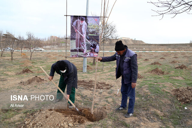 آئین روز درختکاری در اردبیل