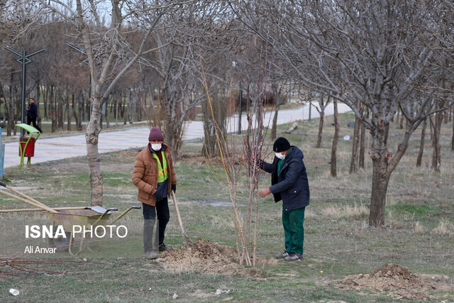 آئین روز درختکاری در اردبیل