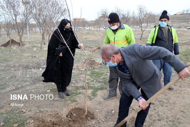 آئین روز درختکاری در اردبیل