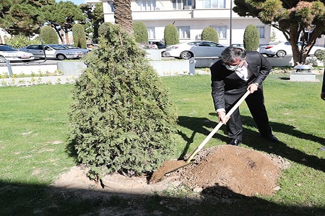 ضرورت عزم مردمی برای نجات جنگل