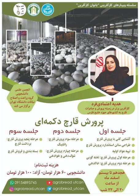 وبینار «پرورش قارچ دکمه ای» برگزار میشود