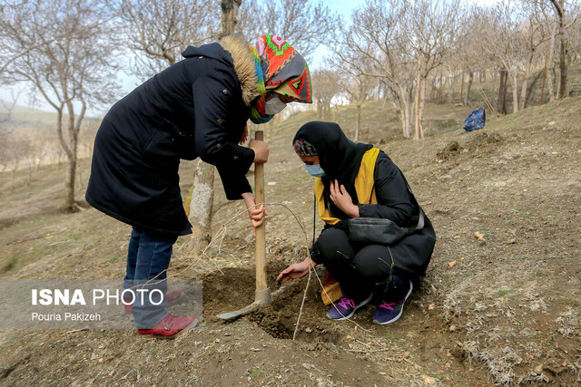 ۱۱ آذر ماه، آغاز طرح کاشت یک میلیارد درخت/ فرصتهای خوبی داریم ۱۱ آذر ماه، آغاز طرح کاشت یک میلیارد درخت/ فرصتهای خوبی داریم