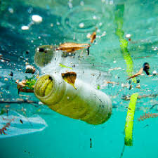 وبینار کشوری «مدیریت کیفیت میکروبی در صنایع غذایی» برگزار می‌شود