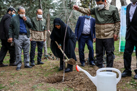 مراسم بزرگداشت فرهنگ و رسانه در هفته منابع طبیعی