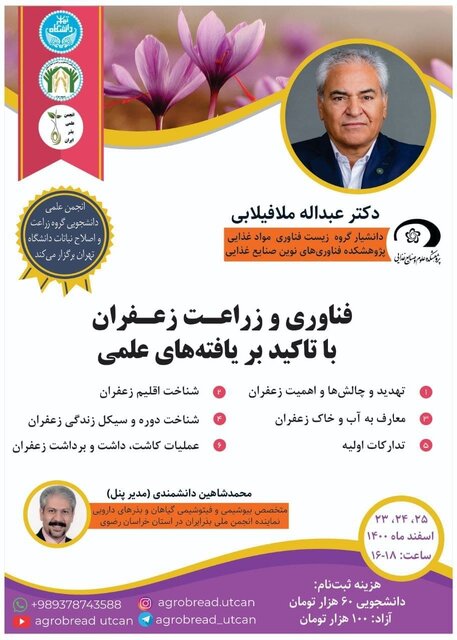 فناوری و زراعت زعفران با تاکید بر یافته های علمی