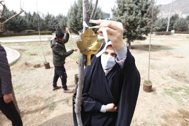 غرس ١٠٠ اصله نهال در دریاچه شهدای خلیج فارس با حضور خانواده شهدا