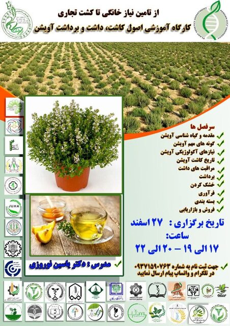 کارگاه آموزشی «اصول کاشت، داشت و برداشت آویشن»