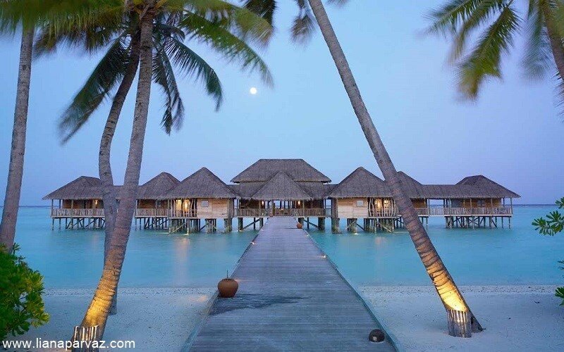 لیانا پرواز سفری به یاد ماندنی را با تورهای آسیایی خود برایتان می سازد