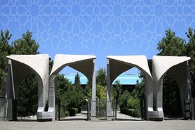 نشان ویژه استاد ممتازی دانشگاه تهران به ۹ استاد اعطا شد