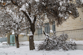بارش برف در شهرستان اهر و منطقه ارسباران