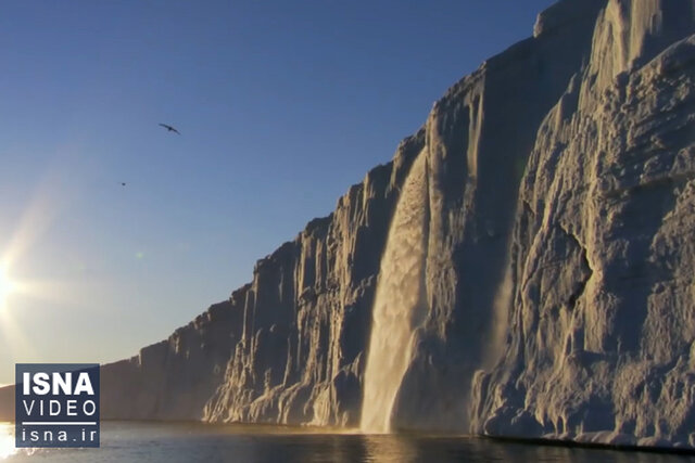 ویدئو / از گرمای بی‌سابقه در قطب تا کاهش تنوع رنگی ماهی‌ها
