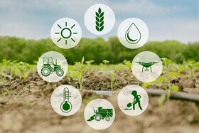 افتتاح ۳۳ طرح تولیدی هفته جهاد کشاورزی در لرستان