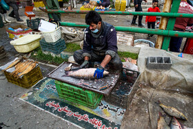 بازگشایی جمعه بازار «جویبار» پس از دو سال