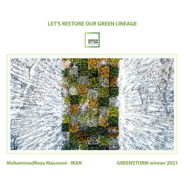 جوایز مسابقه عکاسی «گرین استورم» برای عکاسان ایرانی جوایز مسابقه عکاسی «گرین استورم» برای عکاسان ایرانی