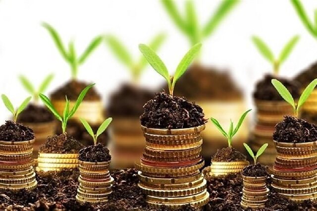 مشکل شرکتهای دانشبنیان، مقررات و تضاد منافع در اقتصاد دولتی است