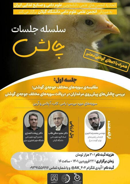 چالش های پیش‌روی مرغداران در دریافت سویه های مختلف جوجه گوشتی