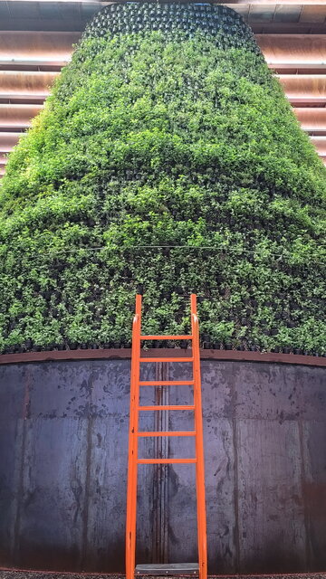 برگزیدگان اکسپو دبی؛ از کشورهای جنگزده تا نوظهورها 20