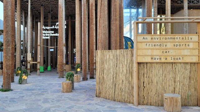 برگزیدگان اکسپو دبی؛ از کشورهای جنگزده تا نوظهورها 15