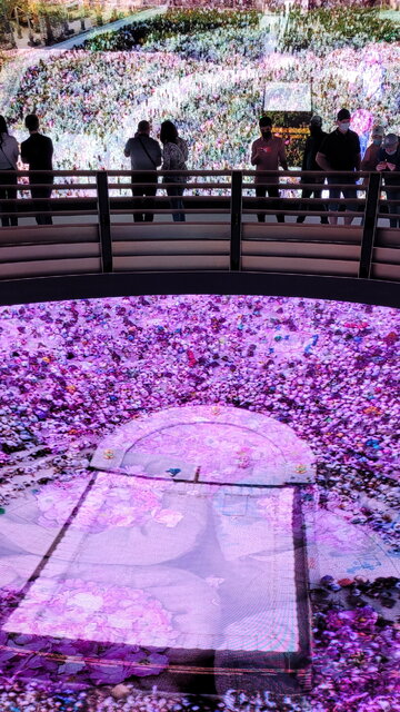 برگزیدگان اکسپو دبی؛ از کشورهای جنگزده تا نوظهورها 21