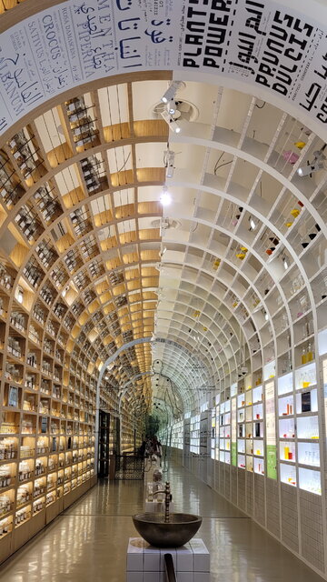 برگزیدگان اکسپو دبی؛ از کشورهای جنگزده تا نوظهورها 18