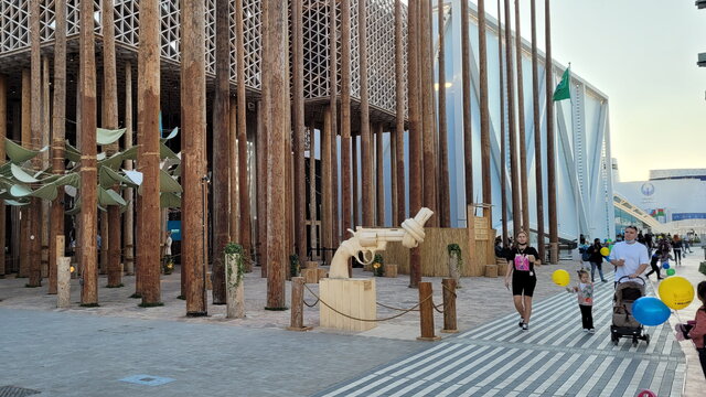 برگزیدگان اکسپو دبی؛ از کشورهای جنگزده تا نوظهورها 16