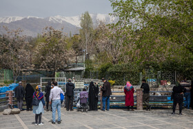 روز طبیعت - پارک ملت تهران