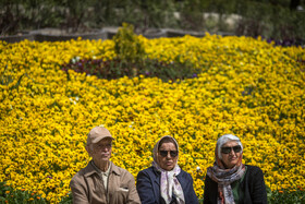 روز طبیعت - پارک ساعی تهران