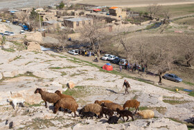 روز طبیعت - گلبهار 20