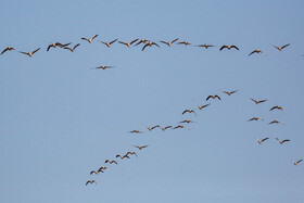 طبیعت گردشگری قم 20