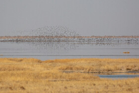 طبیعت گردشگری قم 19