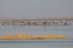 طبیعت گردشگری قم 17